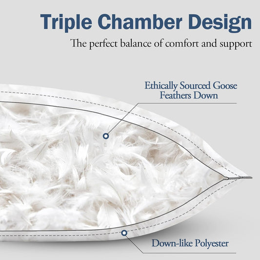 BPC Goose Feather Down Pillows Queen Size Set of 2, Medium Firm Bed Pillows