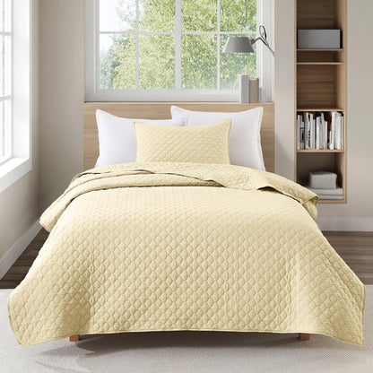 HORIMOTE HOME Quilt Queen Size Dusty Blue, Lightweight Quilts for Summer Ultra-Soft Microfiber Modern Style Quilted Clouds Pattern Bedspread Quit Set 3 Pieces(1 Quilt and 2 Pillow Shams)